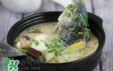 鯽魚(yú)湯的做法孕婦喝 孕婦鯽魚(yú)湯做法大全