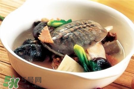 產(chǎn)婦能吃甲魚嗎？產(chǎn)婦能吃甲魚湯嗎？