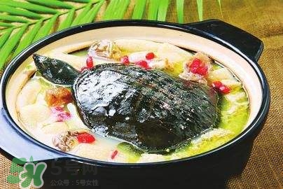 甲魚(yú)湯下奶嗎？下奶的食物有哪些？