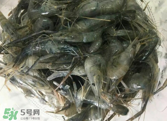 河蝦是基圍蝦嗎？河蝦是辛辣食物嗎？