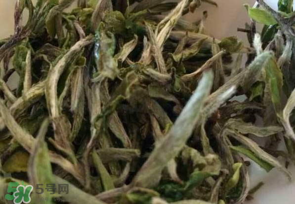 白茶需要洗茶嗎？白茶是洗還是不洗？