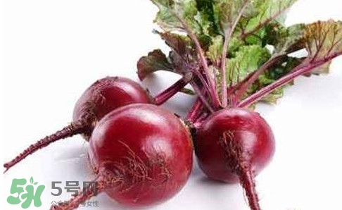 甜菜根是蘿卜嗎？甜菜根是什么菜