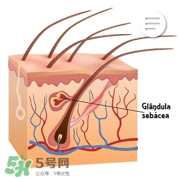 肌膚屏障受損怎么修復(fù) 強(qiáng)化皮膚屏障思路