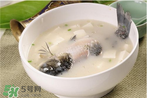 喝鯽魚(yú)湯會(huì)胖嗎？鯽魚(yú)湯可以經(jīng)常喝嗎？