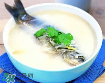 鯽魚湯可以放牛奶嗎？牛奶鯽魚湯的做法