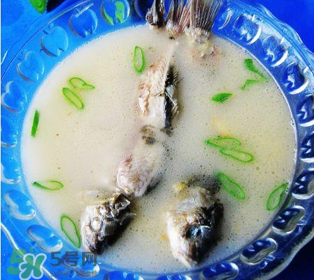 鯽魚湯可以放牛奶嗎？牛奶鯽魚湯的做法