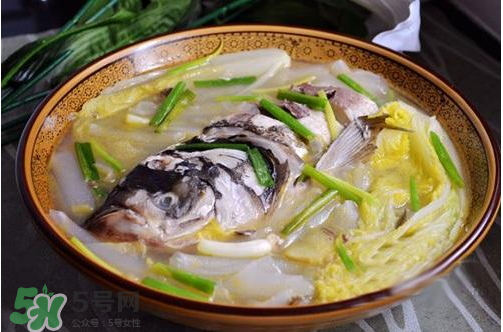 鰱魚湯怎么熬湯？鰱魚湯的功效與作用