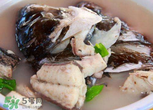 鰱魚湯怎么熬湯？鰱魚湯的功效與作用