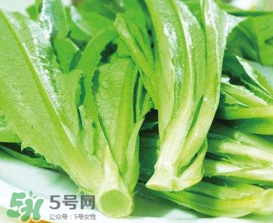 萵苣葉能吃嗎？萵苣葉和油麥菜有什么區(qū)別