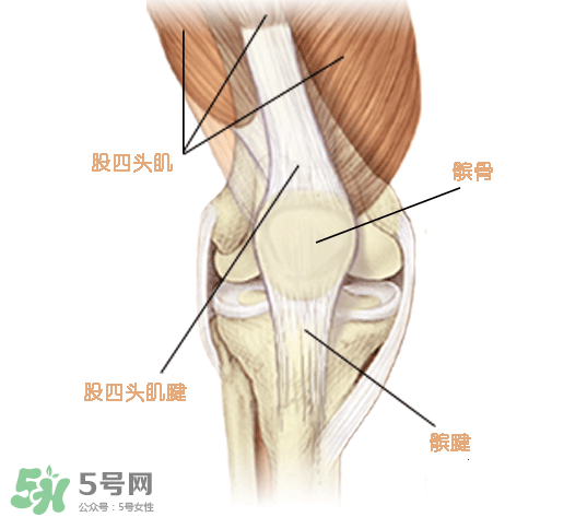 風濕可以吃螃蟹嗎？得了風濕能吃螃蟹嗎？