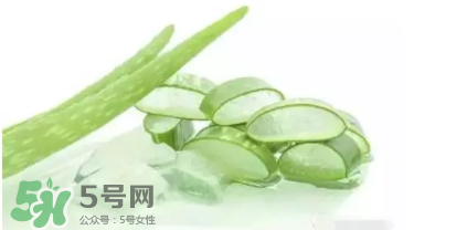 蘆薈怎么吃？蘆薈番茄湯的做法 