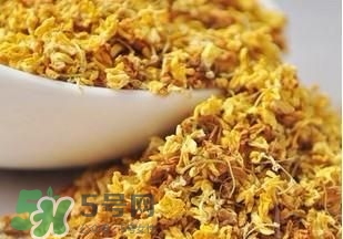 桂花茶怎么泡？桂花茶泡水喝的禁忌 