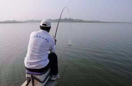 大蒜泡酒能釣魚嗎？大蒜泡酒釣魚的方法