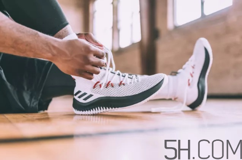 adidas dame 4多少錢？阿迪達斯利拉德四代上腳效果