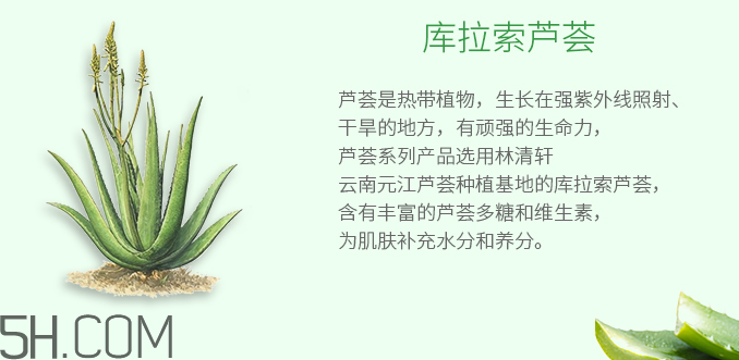 林清軒蘆薈面膜泥怎么樣？林清軒蘆薈面膜泥測評