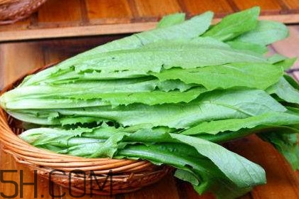 西紅柿和油麥菜能一起吃嗎？油麥菜能包餃子嗎