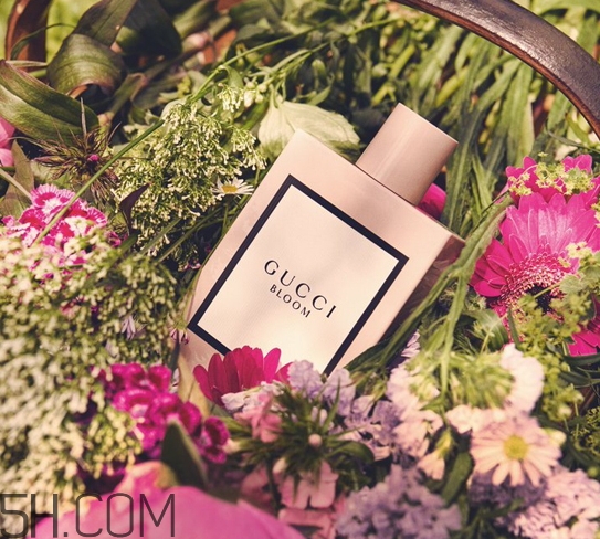 gucci bloom香水多少錢？gucci bloom香水專柜價(jià)格