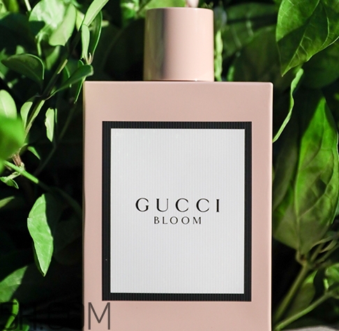 gucci bloom香水多少錢？gucci bloom香水專柜價(jià)格