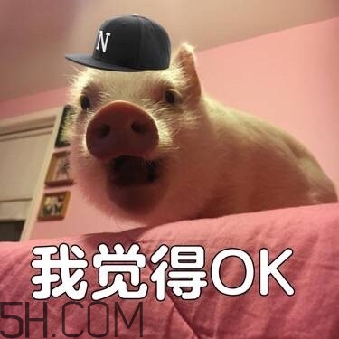 ojbk是什么意思？ojbk表情包