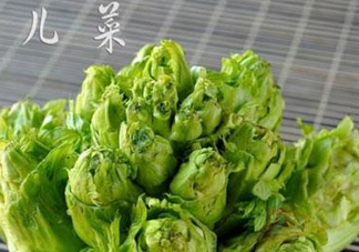 青菜頭是不是兒菜？大頭菜和兒菜的區(qū)別