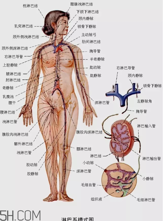 淋巴癌最嚴重時會成什么樣子？淋巴瘤能治好嗎