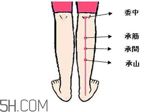 小腿抽筋可以跑步嗎？小腿抽筋可以拔火罐嗎