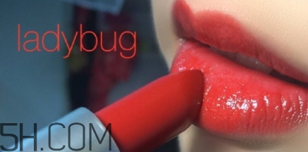 mac lady bug掉色嗎？mac ladybug真假辨別