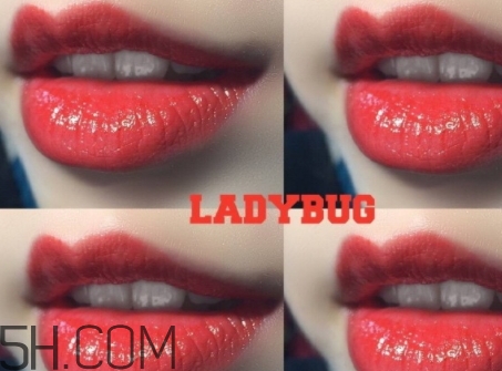 mac ladybug多少錢？mac lady bug專柜價(jià)格