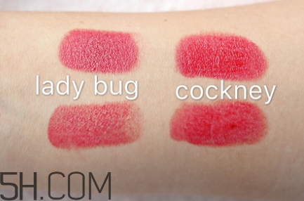 mac ladybug和chili哪個(gè)好看_試色對比