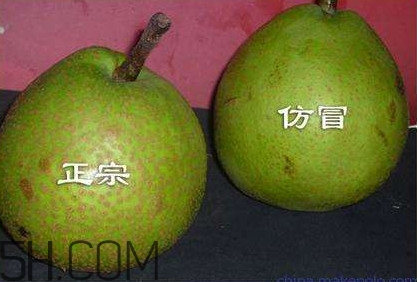 萊陽(yáng)梨幾月份才會(huì)有？正宗萊陽(yáng)梨哪里能買的到