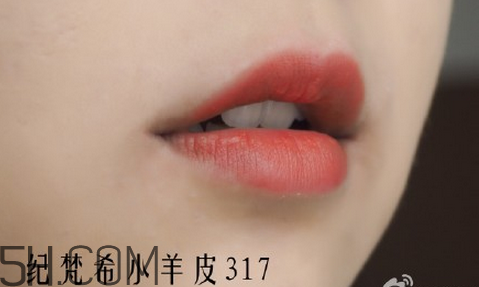 紀(jì)梵希304是西柚色嗎？紀(jì)梵希小羊皮304和317哪個(gè)好看？