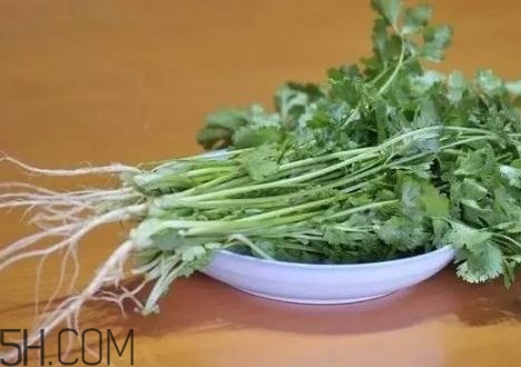 香菜根煮水能減肥嗎？香菜根煮水能天天喝嗎？