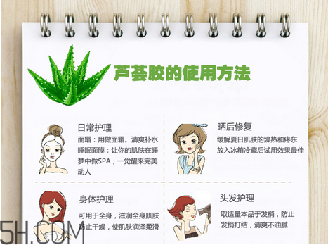 蘆薈膠的功效和作用有哪些？教你蘆薈膠的正確使用方法