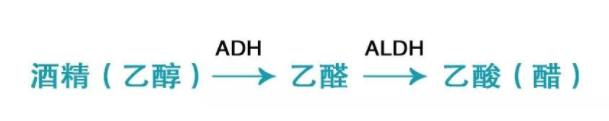 喝酒致癌的真相是什么？乙醛致癌太可怕