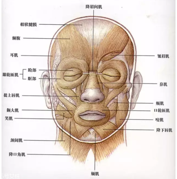 法令紋怎么去除？最有效的方法是醫(yī)美