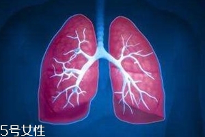 肺漏氣是什么?。糠闻萜屏岩饸庑?><p><strong>肺漏氣是什么?。糠闻萜屏岩饸庑?/strong></p></a></li> <li><a href=