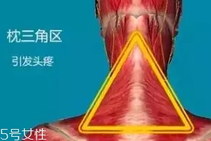 人體黃金三角區(qū)有哪些？養(yǎng)好了百病不擾