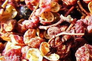 花椒長(zhǎng)蟲怎么處理 殺蟲是關(guān)鍵