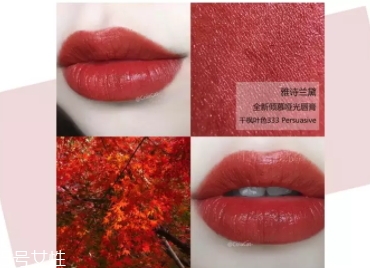 雅詩(shī)蘭黛口紅哪個(gè)色號(hào)最火？哪些最適合黃皮？