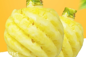 泰國(guó)迷你小菠蘿多少錢(qián)一斤？mini小菠蘿火遍泰國(guó)