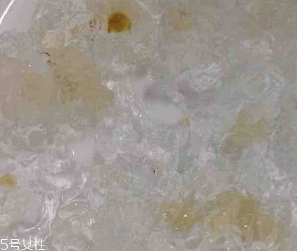 雪燕和桃膠能一起燉嗎？