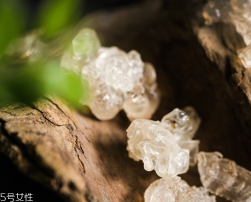 雪燕和銀耳哪個好？其實可以一起食用