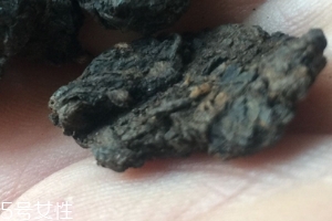 老茶頭怎么泡？泡錯了就不好喝了