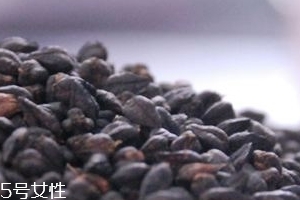 黑苦蕎茶上火嗎？蒸煮法苦蕎茶不上火