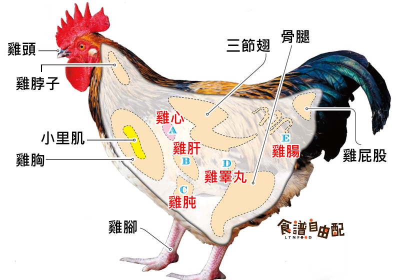 雞各部位怎么吃最好吃