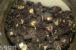 黑枸杞還還是紅枸杞好？各有千秋