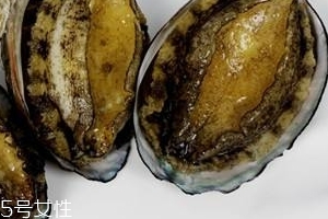 鮑魚(yú)罐頭好吃嗎？味道還可以