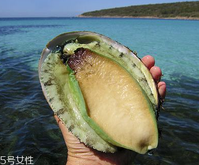 鮑魚(yú)罐頭好吃嗎？味道還可以