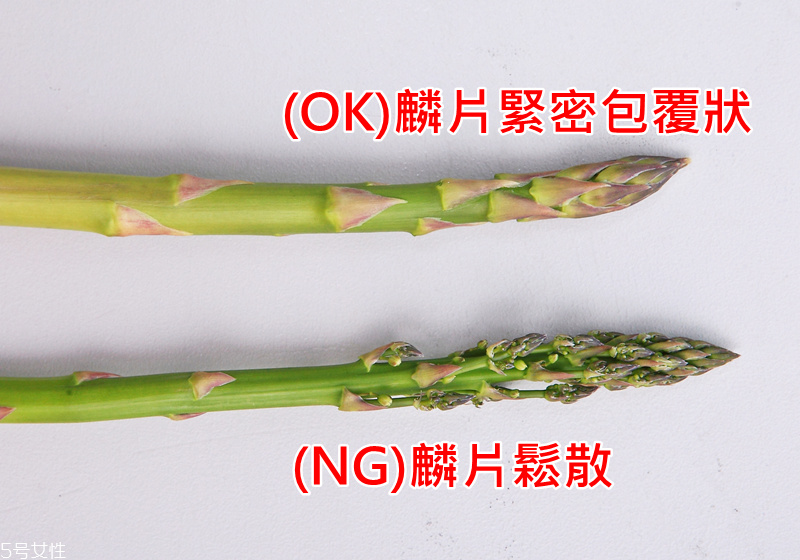 新鮮蘆筍怎么處理與保存