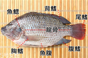 吃魚(yú)時(shí)魚(yú)刺怎么去除